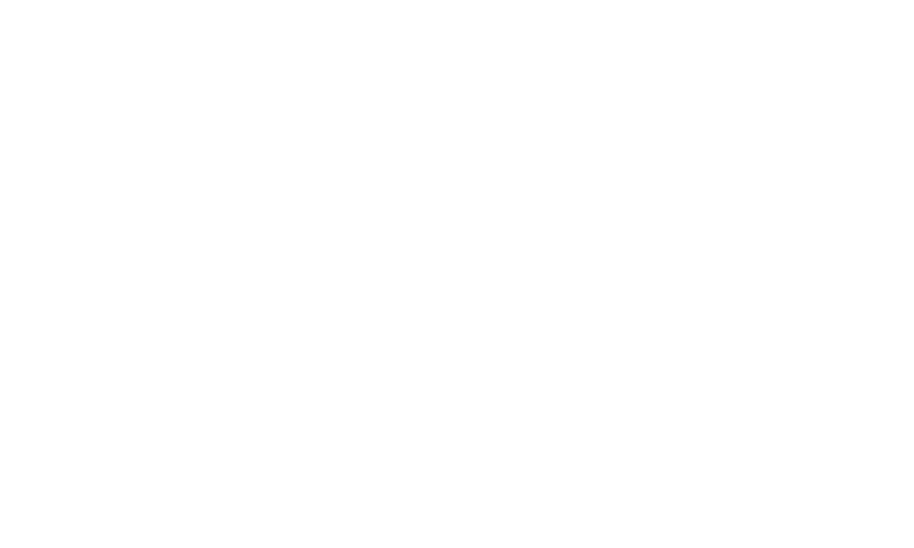 DTFS